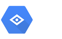 Google Vision