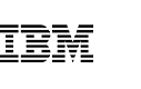 IBM DA