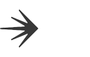 LaunchDarkly