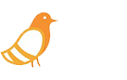 Pigeonhole Live